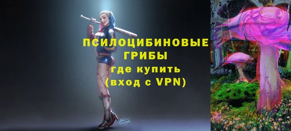 гидропоника Богородицк